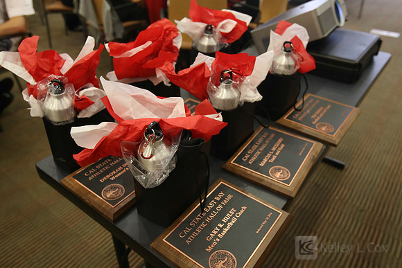 CSUEB: 2014 Hall of Fame