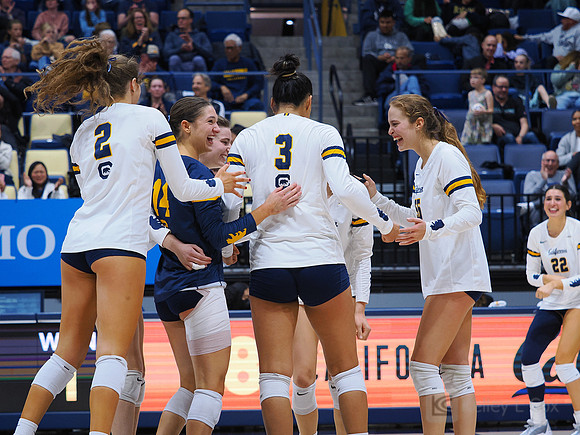 Volleyball: California Golden Bears vs Notre Dame Fighting Irish