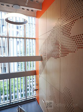Jacobs Institute: Summer Design Showcase