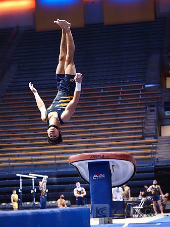 Noah Newfeld