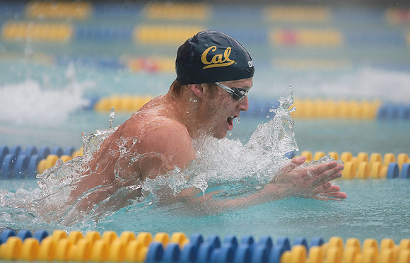 Cal Men's Swimming vs Stanford