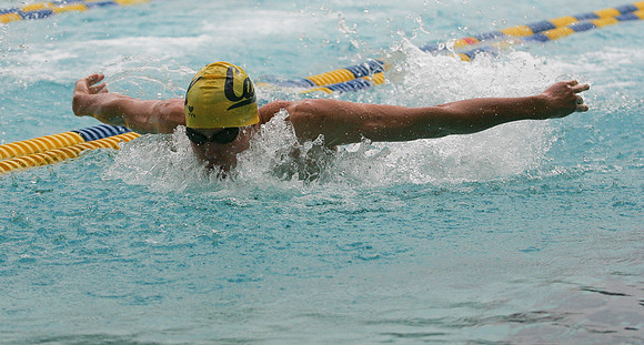 Cal Men's Swimming and Diving vs Stanford