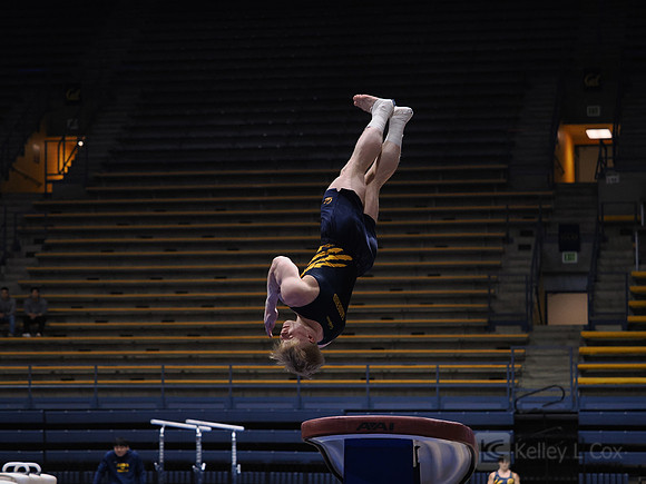 Men’s Gymnastics: California Golden Bears vs Stanford Cardinal