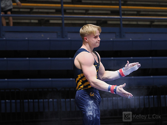 Men’s Gymnastics: California Golden Bears vs Stanford Cardinal