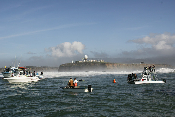 Mavericks 2010
