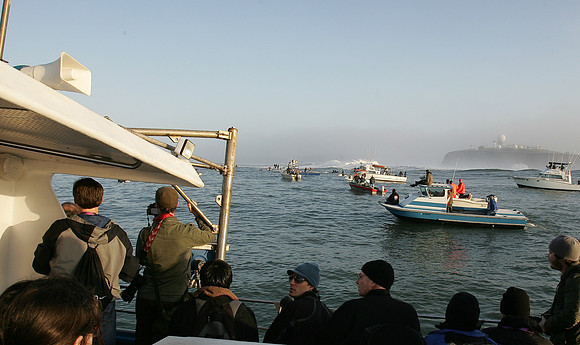 Mavericks 2010