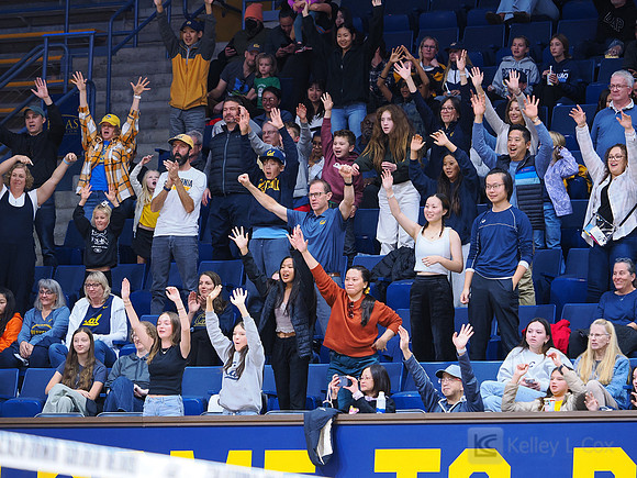 Volleyball: California Golden Bears vs Notre Dame Fighting Irish