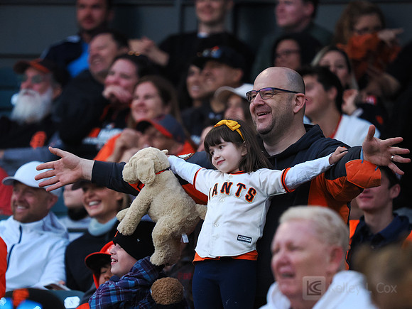 MLB: Cincinnati Reds at San Francisco Giants