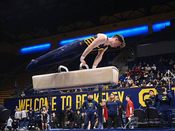 Men’s Gymnastics: California Golden Bears vs Stanford Cardinal