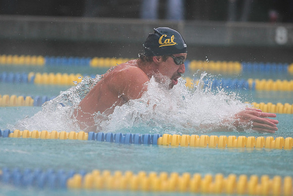 Cal Men's Swimming vs Stanford