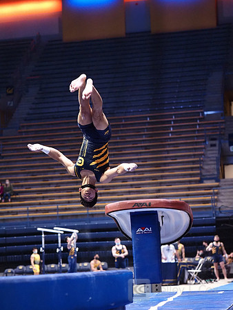 Noah Newfeld