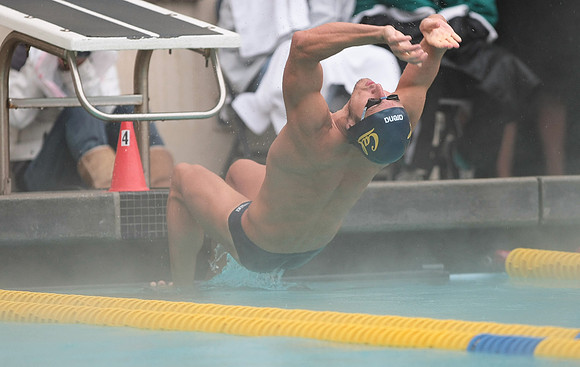 Cal Men's Swimming vs Stanford