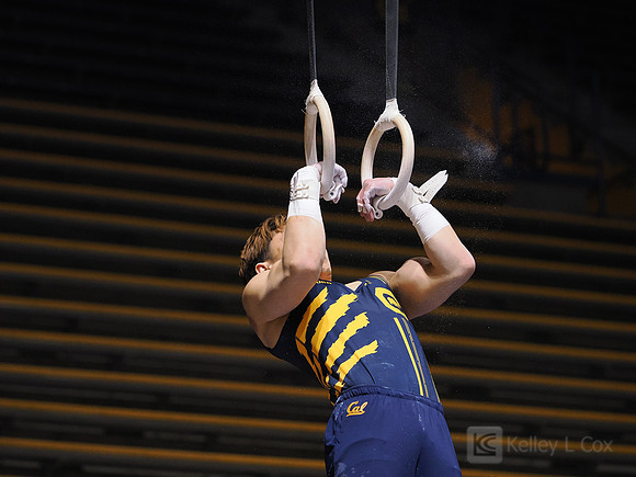 Men’s Gymnastics: California Golden Bears vs Stanford Cardinal
