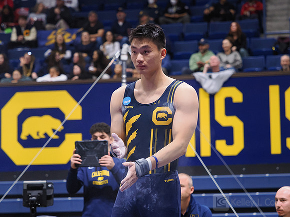 Men’s Gymnastics: California Golden Bears vs Stanford Cardinal