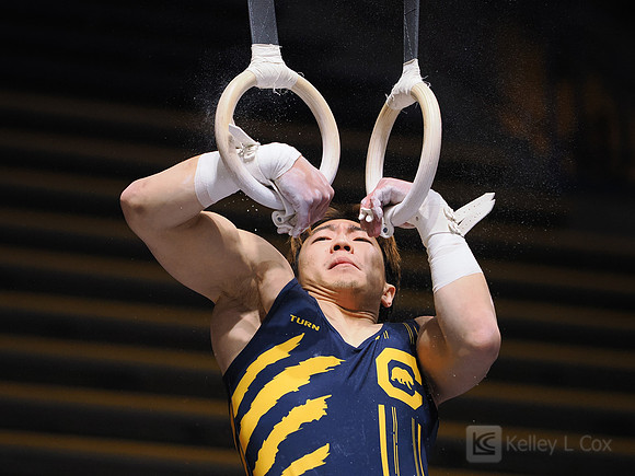 Men’s Gymnastics: California Golden Bears vs Stanford Cardinal
