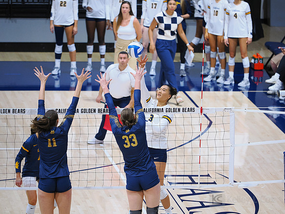 Volleyball: California Golden Bears vs Notre Dame Fighting Irish