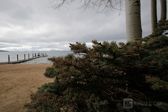 North Lake Tahoe Polar Plunge