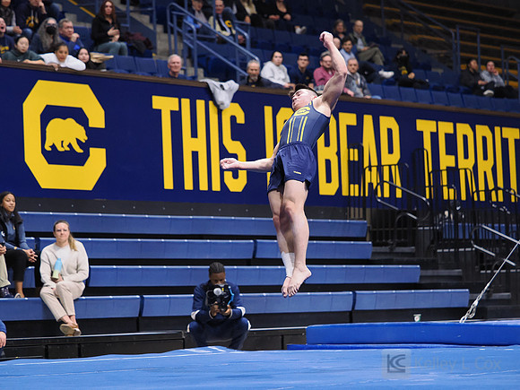 Men’s Gymnastics: California Golden Bears vs Stanford Cardinal