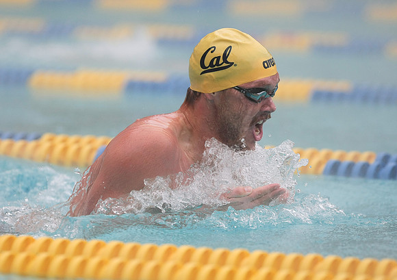 Cal Men's Swimming vs Stanford