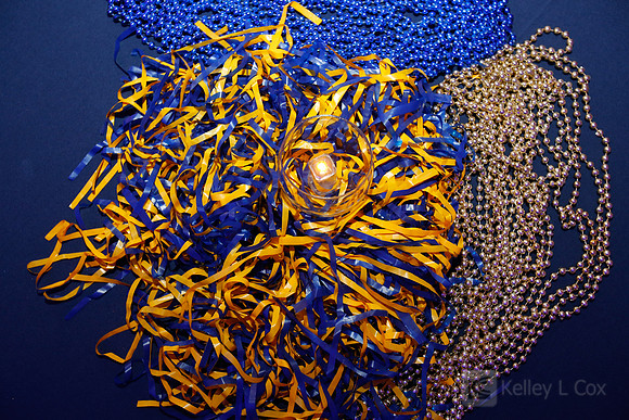 Blue and Gold Bash
