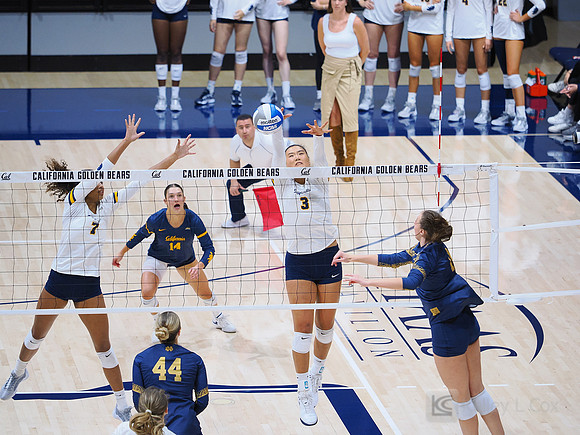 Volleyball: California Golden Bears vs Notre Dame Fighting Irish