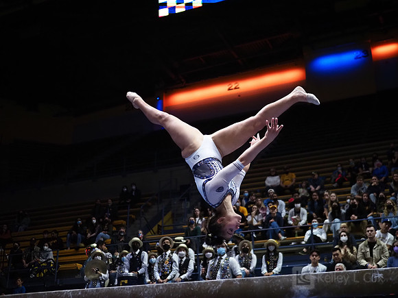 Women’s Gymnastics: California Golden Bears vs Iowa Hawkeyes