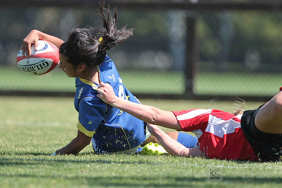 W College Rugby: Chico vs UCLA