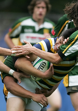 Cal Rugby vs Humboldt State