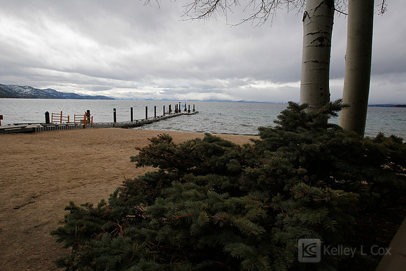 North Lake Tahoe Polar Plunge