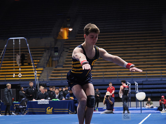 Men’s Gymnastics: California Golden Bears vs Stanford Cardinal