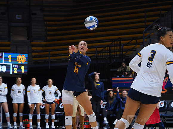 Volleyball: California Golden Bears vs Notre Dame Fighting Irish
