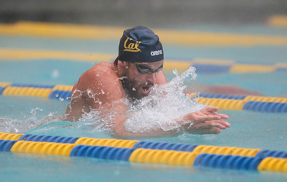 Cal Men's Swimming vs Stanford