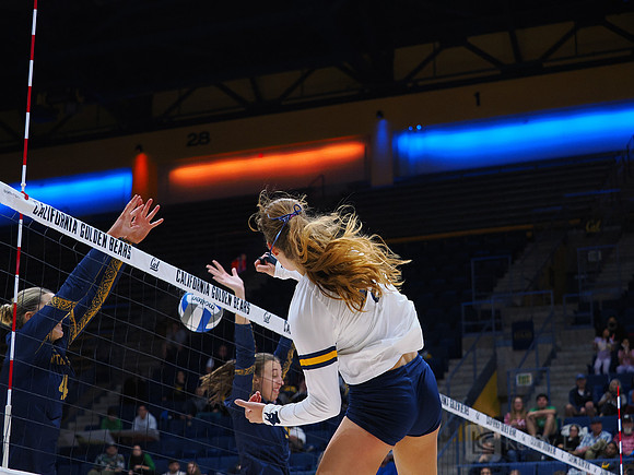 Volleyball: California Golden Bears vs Notre Dame Fighting Irish