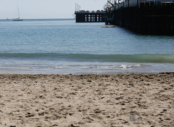 Santa Cruz Polar Plunge