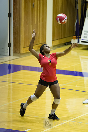 Volleyball: Berkeley at Piedmont