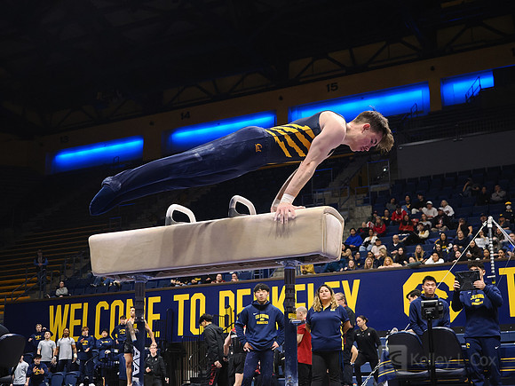 Men’s Gymnastics: California Golden Bears vs Stanford Cardinal