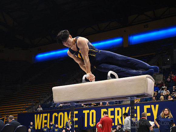 Men’s Gymnastics: California Golden Bears vs Stanford Cardinal