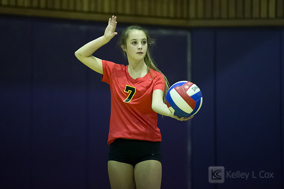 JV Volleyball: Berkeley at Piedmont