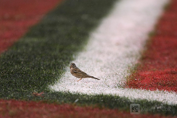 NFL: New York Giants at San Francisco 49ers