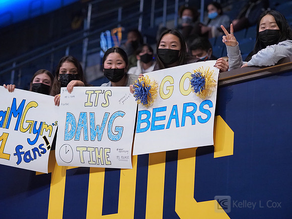 Fans