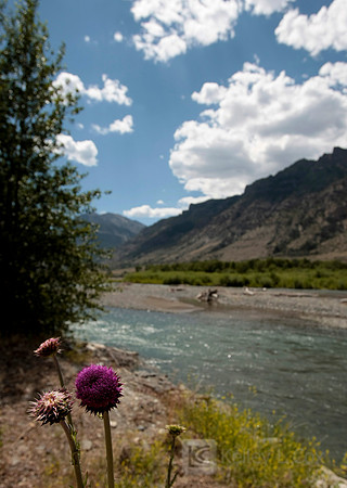Wyoming