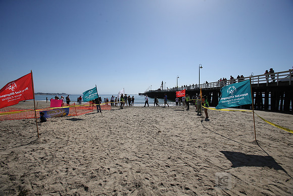 Santa Cruz Polar Plunge