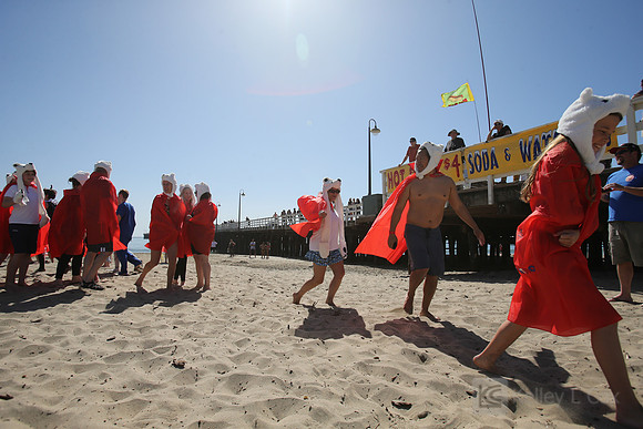Santa Cruz Polar Plunge