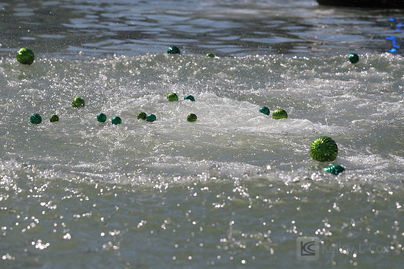SONC Polar Plunge SF