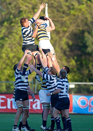 Cal Rugby vs BYU