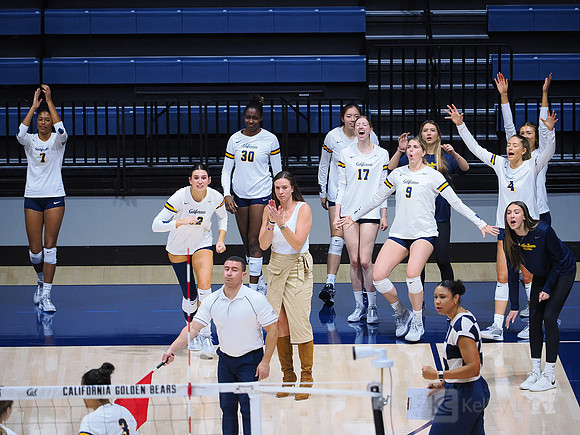 Volleyball: California Golden Bears vs Notre Dame Fighting Irish