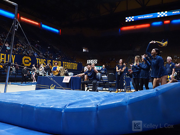 Women’s Gymnastics: California Golden Bears vs Iowa Hawkeyes