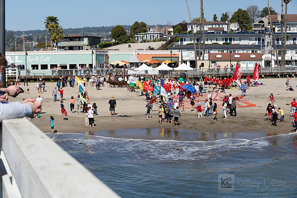 Santa Cruz Polar Plunge