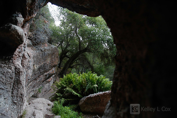 Pinnacles