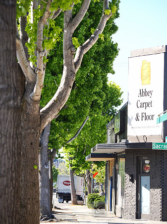 City of El Cerrito: Bike to Wherever Days